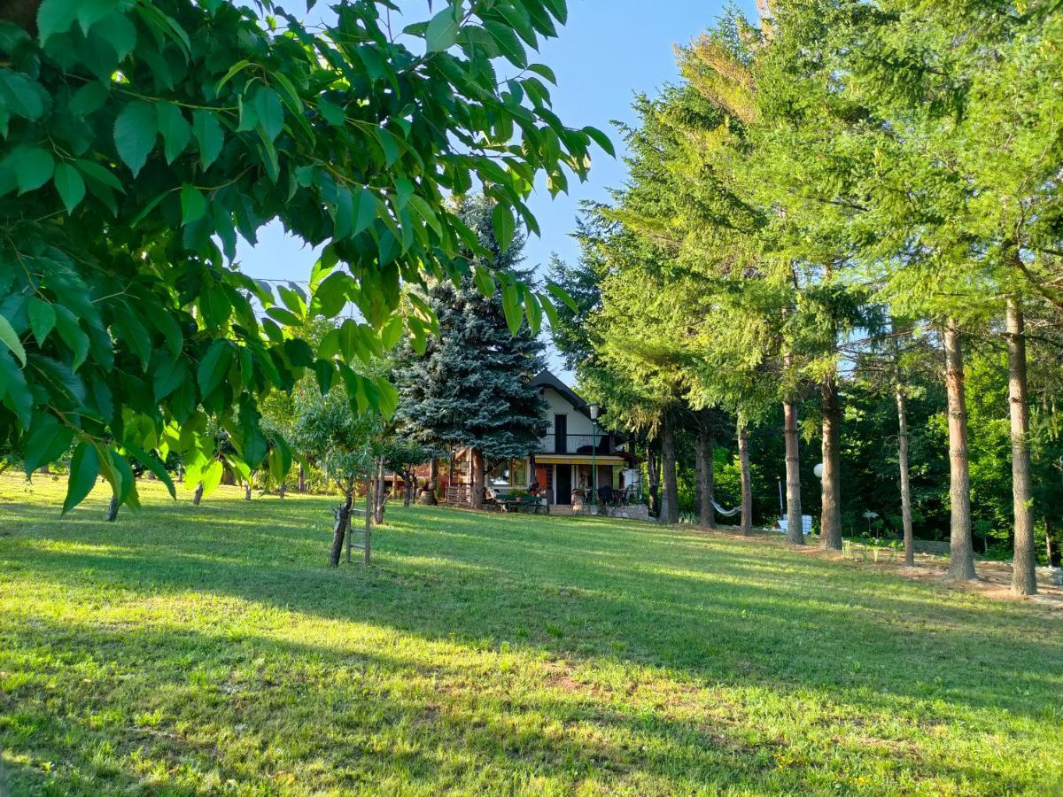 Vila Jezerski Raj Borsko Jezero Экстерьер фото