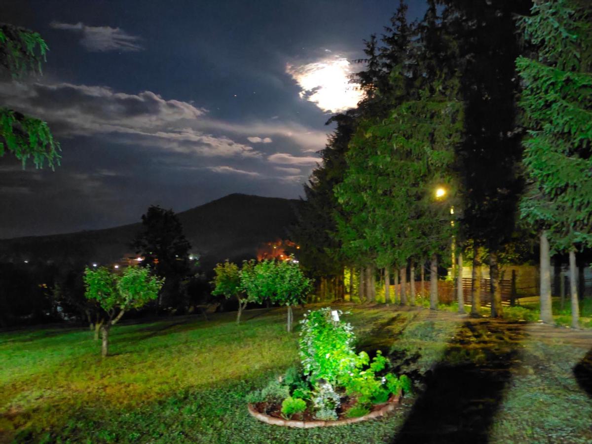 Vila Jezerski Raj Borsko Jezero Экстерьер фото