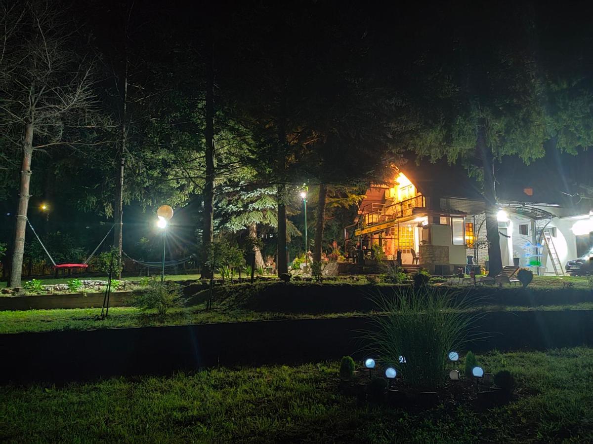 Vila Jezerski Raj Borsko Jezero Экстерьер фото