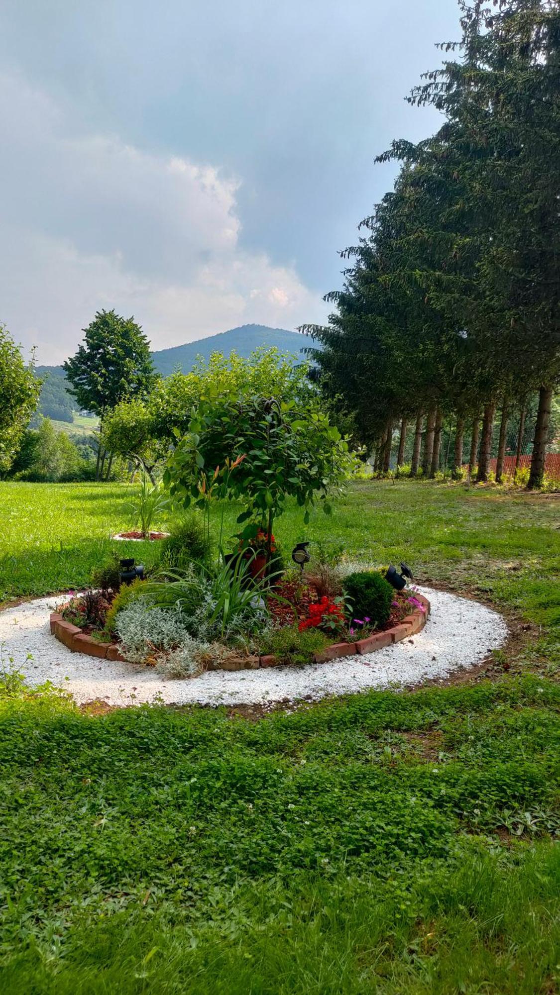 Vila Jezerski Raj Borsko Jezero Экстерьер фото