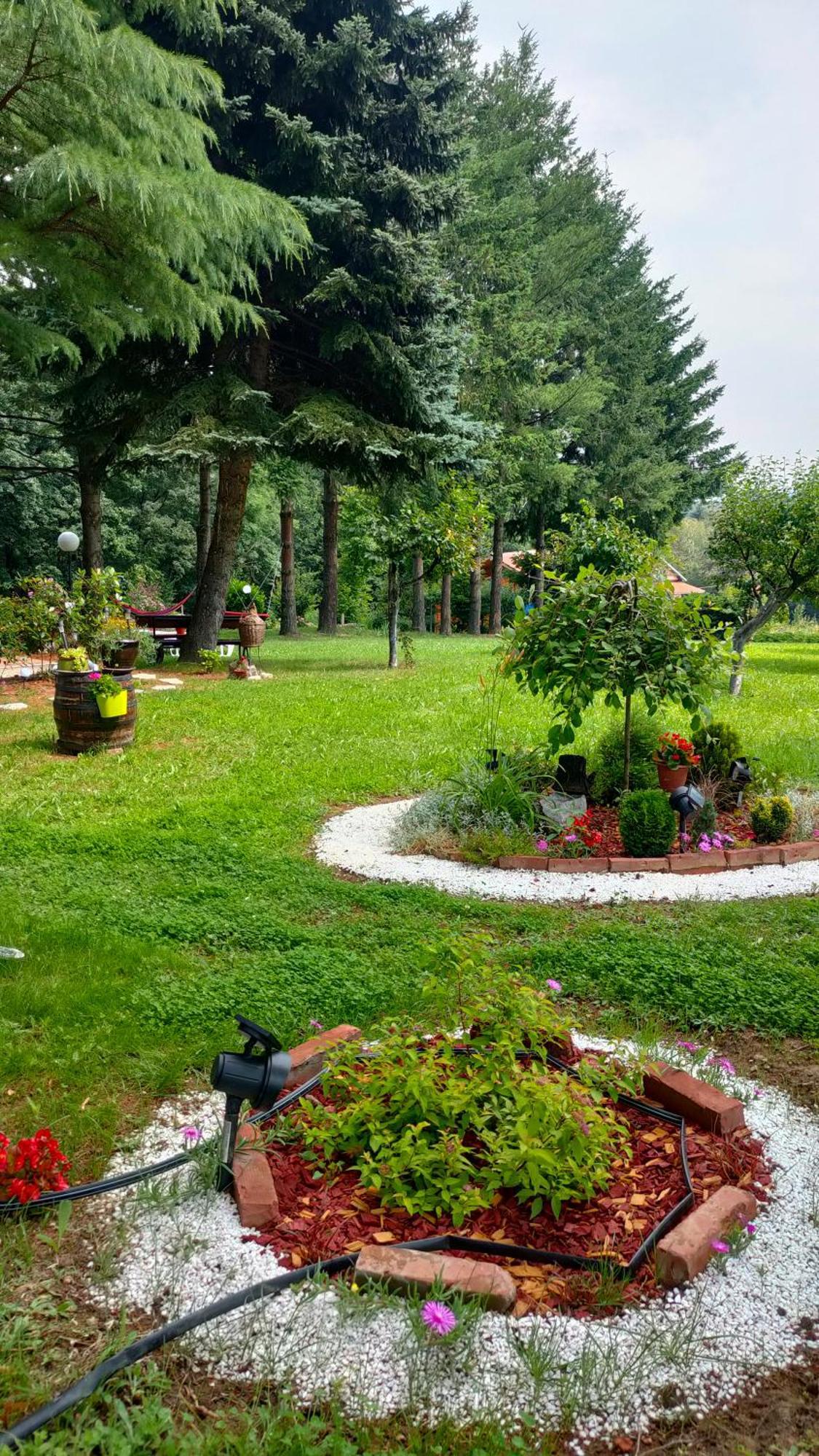 Vila Jezerski Raj Borsko Jezero Экстерьер фото