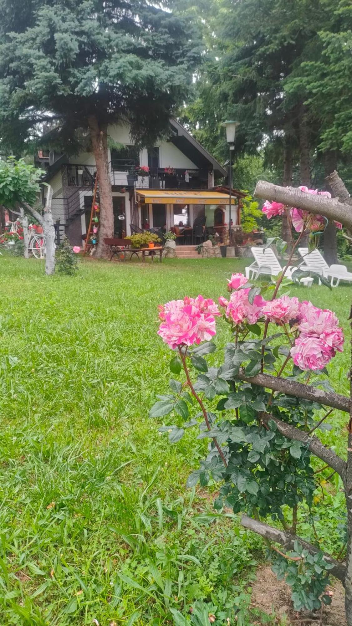 Vila Jezerski Raj Borsko Jezero Экстерьер фото