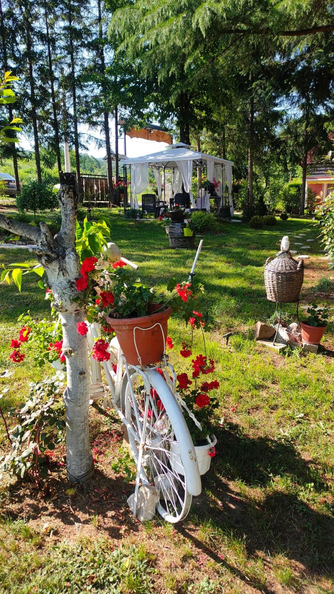 Vila Jezerski Raj Borsko Jezero Экстерьер фото
